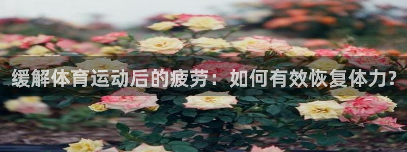 缓解体育运动后的疲劳：如何有效恢复体力?