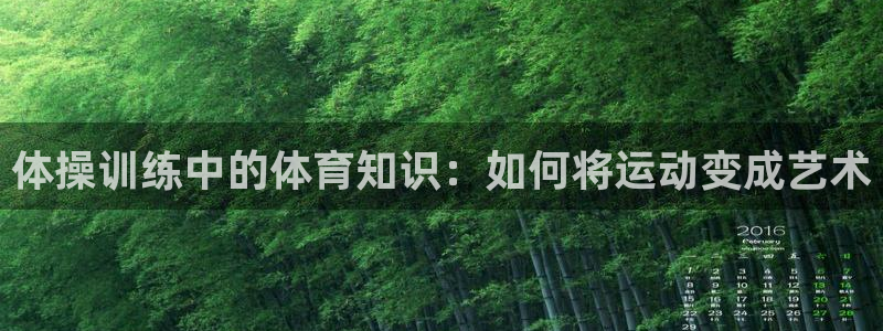 体操训练中的体育知识：如何将运动变成艺术