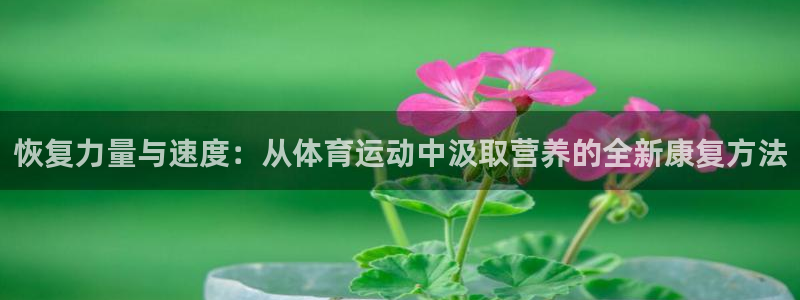 恢复力量与速度：从体育运动中汲取营养的全新康复方法