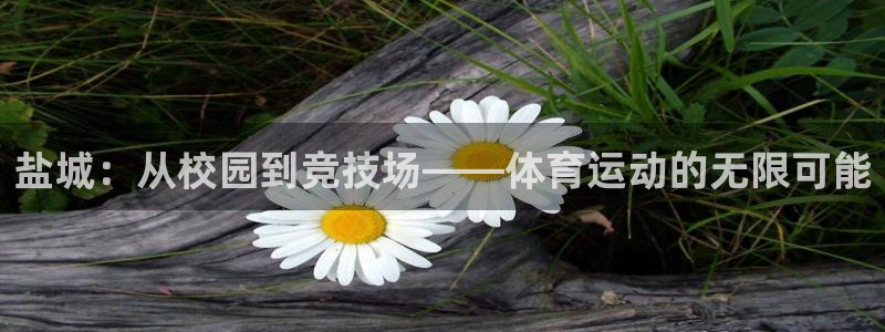 盐城：从校园到竞技场——体育运动的无限可能