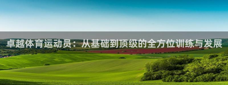 卓越体育运动员：从基础到顶级的全方位训练与发展
