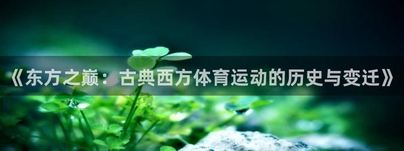 《东方之巅：古典西方体育运动的历史与变迁》