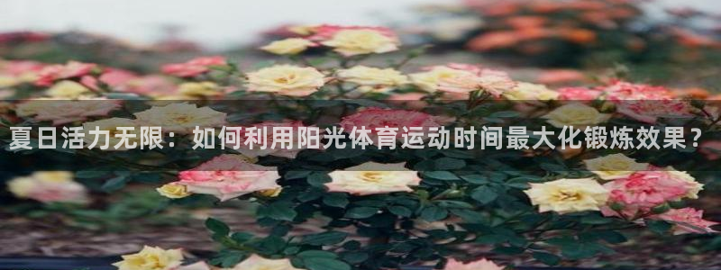 夏日活力无限：如何利用阳光体育运动时间最大化锻炼效果？