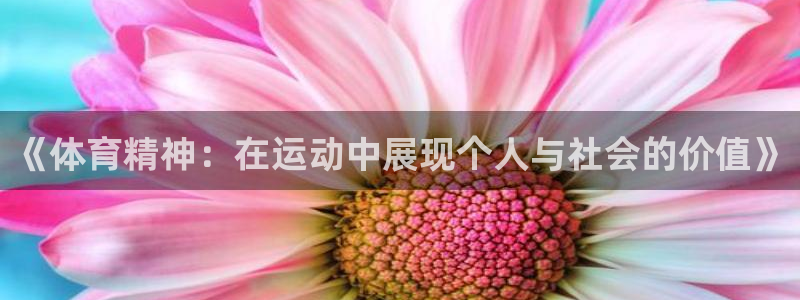 《体育精神：在运动中展现个人与社会的价值》