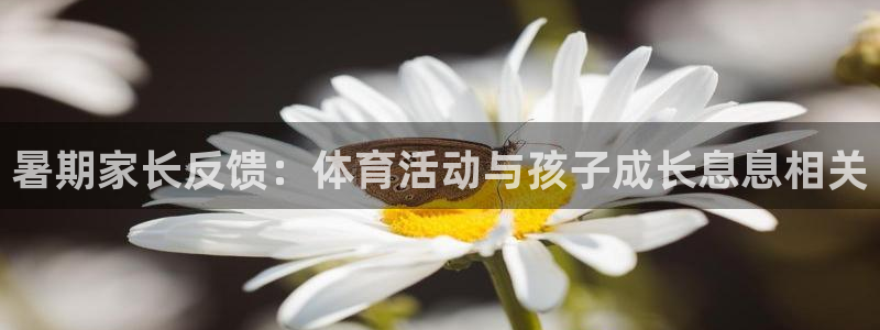 暑期家长反馈：体育活动与孩子成长息息相关