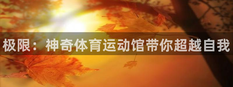 极限：神奇体育运动馆带你超越自我
