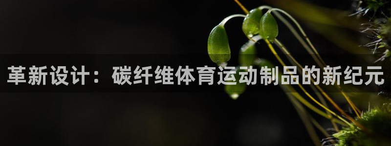 革新设计：碳纤维体育运动制品的新纪元