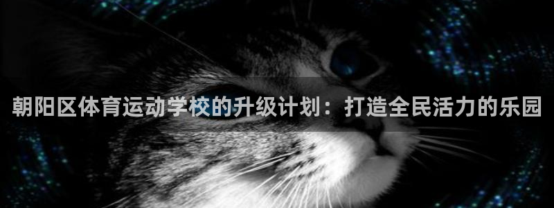 朝阳区体育运动学校的升级计划：打造全民活力的乐园
