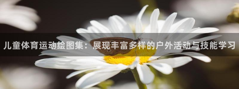 儿童体育运动绘图集：展现丰富多样的户外活动与技能学习