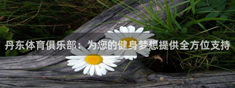 丹东体育俱乐部：为您的健身梦想提供全方位支持