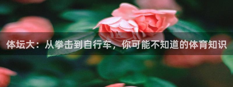 体坛大：从拳击到自行车，你可能不知道的体育知识