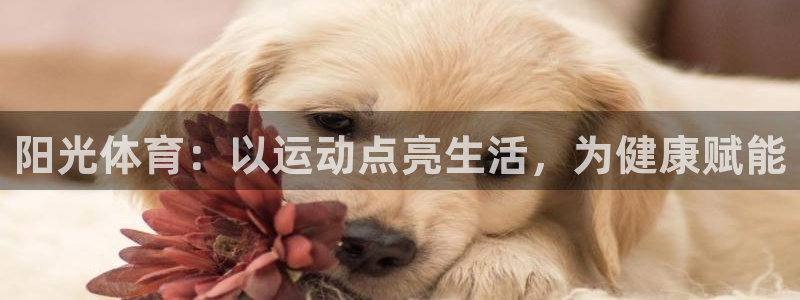 阳光体育：以运动点亮生活，为健康赋能