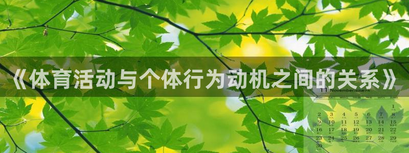 《体育活动与个体行为动机之间的关系》