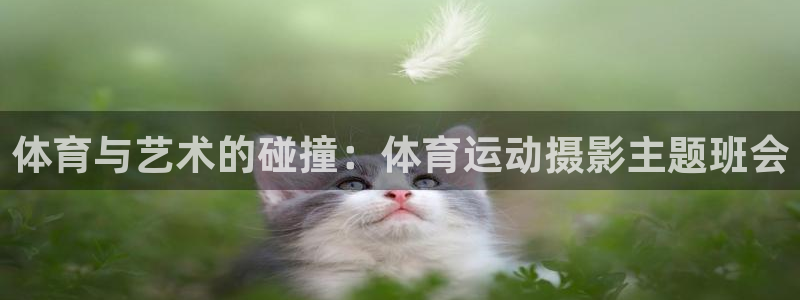 体育与艺术的碰撞：体育运动摄影主题班会