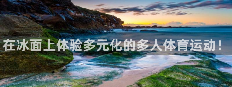 在冰面上体验多元化的多人体育运动！