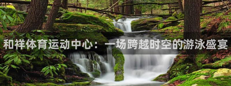 和祥体育运动中心：一场跨越时空的游泳盛宴