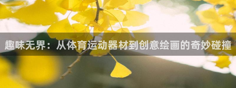 趣味无界：从体育运动器材到创意绘画的奇妙碰撞