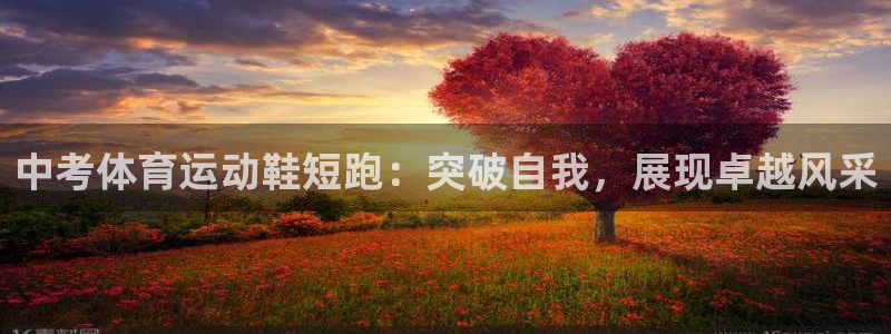 中考体育运动鞋短跑：突破自我，展现卓越风采