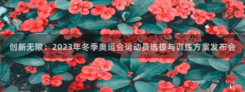 创新无限：2023年冬季奥运会运动员选拔与训练方案发布会
