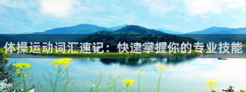 体操运动词汇速记：快速掌握你的专业技能