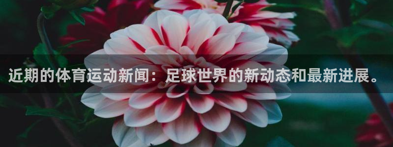 近期的体育运动新闻：足球世界的新动态和最新进展。