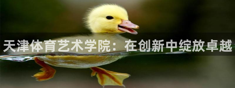 天津体育艺术学院：在创新中绽放卓越