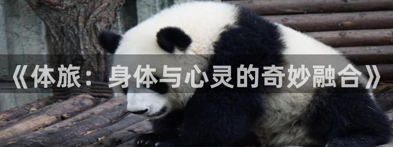 《体旅：身体与心灵的奇妙融合》