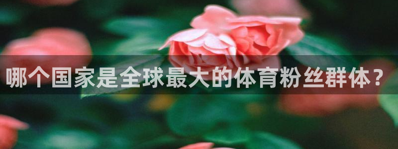 哪个国家是全球最大的体育粉丝群体？