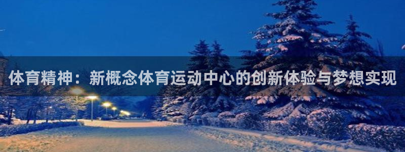 体育精神：新概念体育运动中心的创新体验与梦想实现