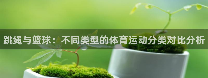 跳绳与篮球：不同类型的体育运动分类对比分析