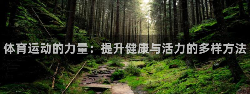 体育运动的力量：提升健康与活力的多样方法