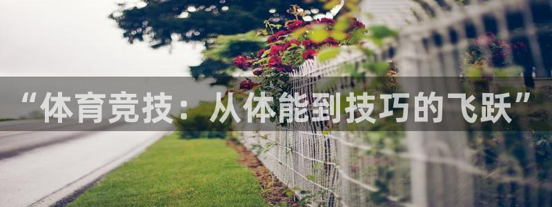 “体育竞技：从体能到技巧的飞跃”