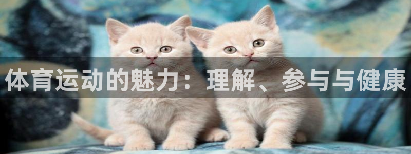 体育运动的魅力：理解、参与与健康