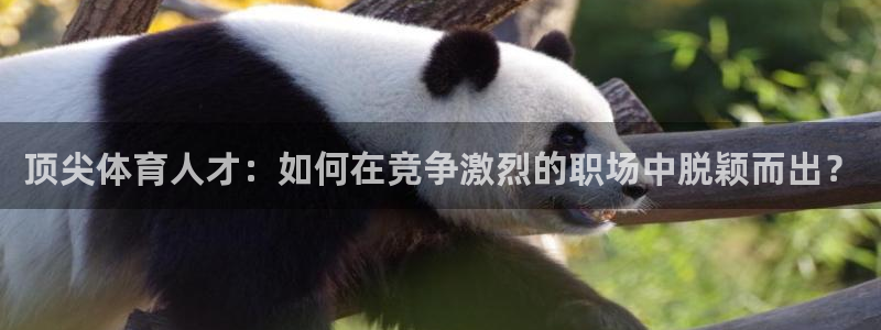 顶尖体育人才：如何在竞争激烈的职场中脱颖而出？